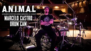 Bater/Colombia: Marcelo Castro Drum Cam / A.N.I.M.A.L en vivo #Batercolombia