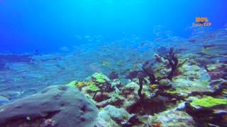 SCUBA Diving Thomas More Travel