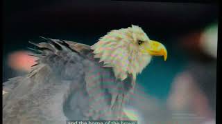 fly eagles fly - Men of Harmony - 2025