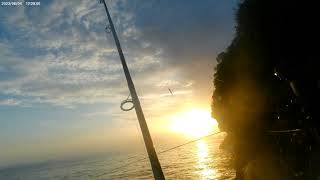 Fishing with some of the fishermen #bg_fisherhunter 🦈🐟