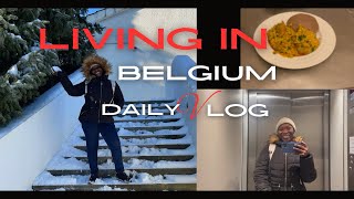 Day in my Life as a Nigerian in Belgium | Cook Egusi soup with me #aestheticvlog #silentvlog #asmr