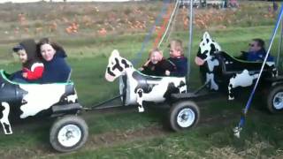 The Cow Ride