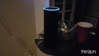 Amazon Echo - Fried Rice vs. Chicken Fried Rice