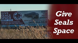 MMSC Give Seals Space campaign
