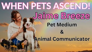 Grieving The Loss Of A Pet With Jaime Breeze, Psychic Medium and Animal Communicator!
