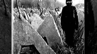 Ashine - Freedom by Death