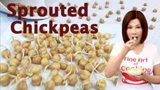 How to Sprout Chickpeas / Garbanzo beans - Superfood Ready to Eat in 3 Days  如何发鹰嘴豆芽