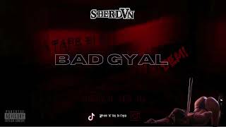 A TAPE FI D  ''BAD GYAL''  DEM!! Latest Dancehall Girls Mixtape By SHERDVN🔥🇯🇲