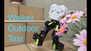 Walking Mini Robot