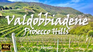 VALDOBBIADENE & PROSECCO HILLS – Italy 🇮🇹 [4K video]