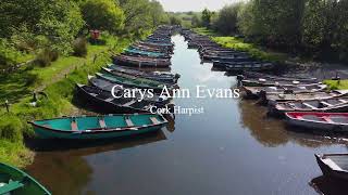 Cary Ann Evens Cork Harpist