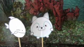 Finding Swishy- Entry for the Squishables Contest 2012