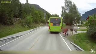 UF O MY GOD.....TRUCK DRIVER MORE CHILD SAVE LIFE