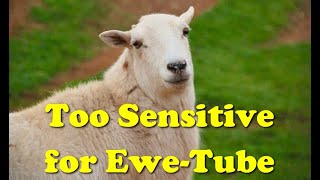 Too Sensitive for Ewe-Tube