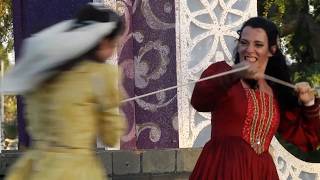 Shakespeare’s Most Controversial Comedy | Taming of the Shrew (2017)
