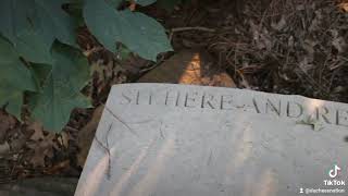 Beauty 🌺 ☀️ n #Nature