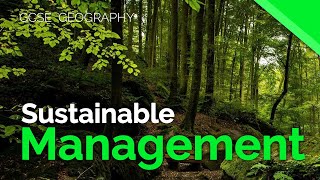 Sustainable Management of Tropical Rainforests | AQA GCSE 9-1 Geography