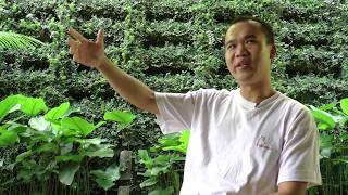 Perspectives 03: Wong Teng Fong