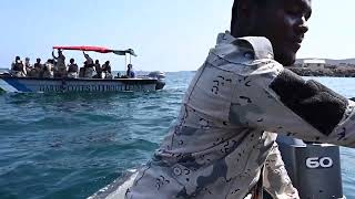 B Roll Exercise Bull Shark 26 1
