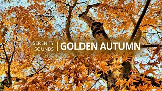 Beautiful Autumn Landscapes | Peaceful Fall Nature and Relaxing Music for Calm & Inspiration