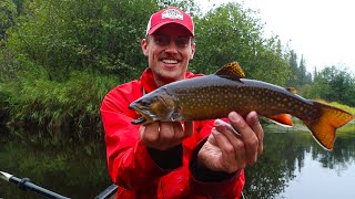 Fall Brook Trout in ALGONQUIN | 4 Days SOLO Camping in the Backcountry