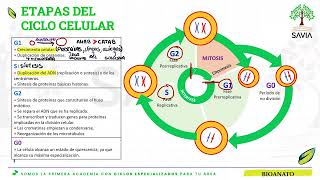 BIOLOGÍA - SEMANA 9