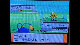 3 Shiny Bellsprout (2 Live) in Pokemon SoulSilver! (Phase 1-3)