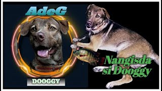 Nangisda si Dooggy ng ulam niya