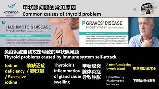 Endocrine Disorder Part 3 - Thyroid Problems & Common Woman's  Diseases