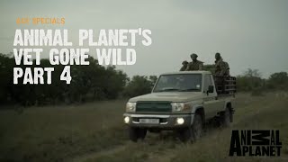 Animal Planet's Vet Gone Wild | Anti-Poaching Unit