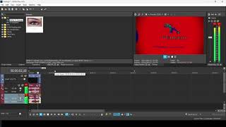 How to make Double Tricolour Effect | Vegas Pro
