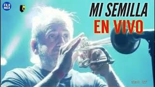 Mi Semilla | La Vela Puerca (Montevideo Late)