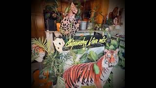 Chiponsky DMX Slippin Live House mix #chiponsky 