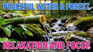Pure ASMR Nature Music 🌊🌿 Peaceful Water & Forest Ambience for Relaxation and Focus