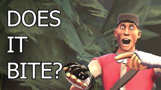 Scout's Nature Adventures: A Venomous Spider! [SFM]