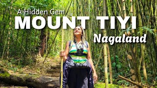 Trek To Highest Peak Of Wokha || MOUNT TIYI NAGALAND || A Hidden Gem Of Nagaland #trek #travel