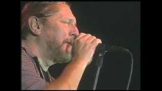 MARSHALL TUCKER   Fire on the Mountain  2007 Live