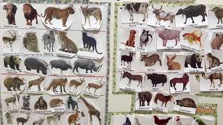 Interactive Learning Idea for Toddlers at home