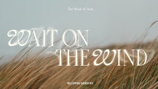 WAIT ON THE WIND: THERE IS A POWER (OLIVIA MUNN-SHIRSATH)