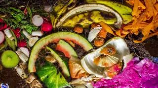 Bullfrog Films presents...Wrought