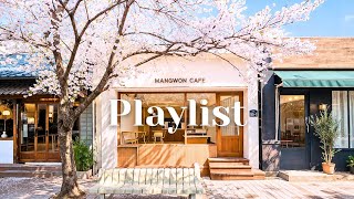 𝐏𝐥𝐚𝐲𝐥𝐢𝐬𝐭 🌸 All-Day Spring Cafe Pop | 100 Songs for Cherry Blossom Vibes 🎶