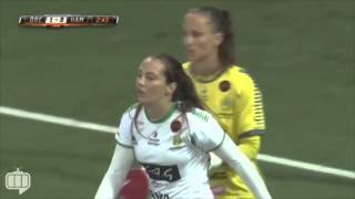 Top Viral Video of The Week 3 February 2016