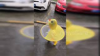 Just a girl in a duck raincoat in China's Shanghai