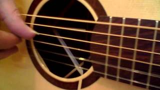 Mandolin Brothers: Kent Chasson (used, 2009) Brazilian rosewood Dreadnought