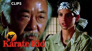 The Karate Kid | Mr. Miyagi's Training Pays Off | CineClips