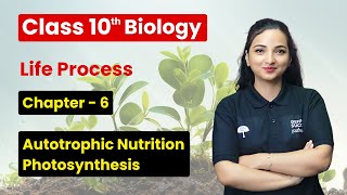 Autotrophic Nutrition Photosynthesis - Life Processes | Class 10 Biology Ch 6 | CBSE 2025-26
