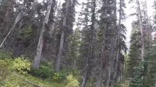 Sarrail Ridge hike 2019