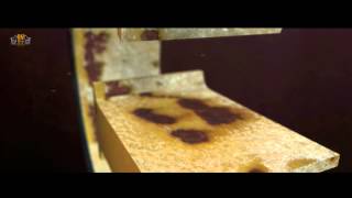 OFFICIAL - GENRES GENERATION || ALBUM VIDEO || SADHU | SARDANA | RAUL | ab_Sh/\W | PROJACK