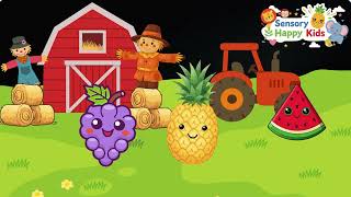 Sensory Video for Toddlers 👶 | Learn & Play | Sensory Happy Kids