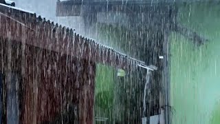 Fall Asleep Immediately in 3 Minutes with Torrential Rain on Tin Roof of Farmhouse